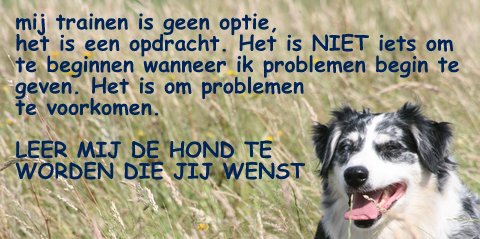 Honden